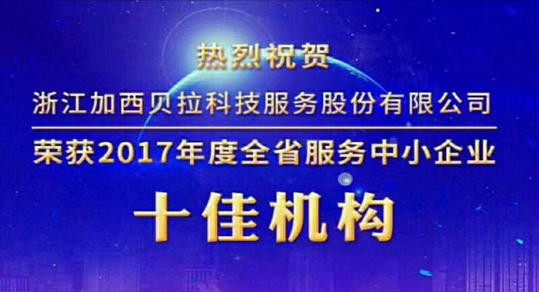 pg电子麻将胡了试玩科技服务公司获评全省服务中小企业十佳机构
